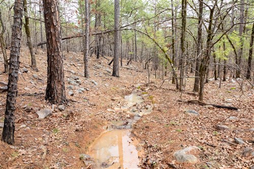 Stone Bridge Phase III Tract 196