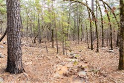 Stone Bridge Phase III Tract 196