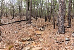 Stone Bridge Phase III Tract 196