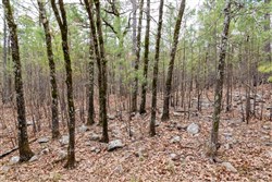 Stone Bridge Phase III Tract 196