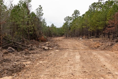Stone Bridge Phase III Tract 199