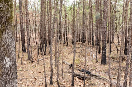 Stone Bridge Phase III Tract 199