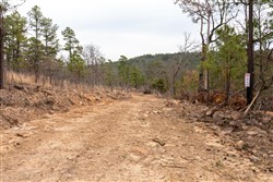 Stone Bridge Phase III Tract 199