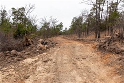 Stone Bridge Phase III Tract 200