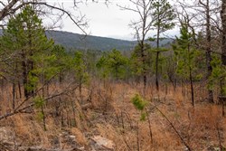 Stone Bridge Phase III Tract 200