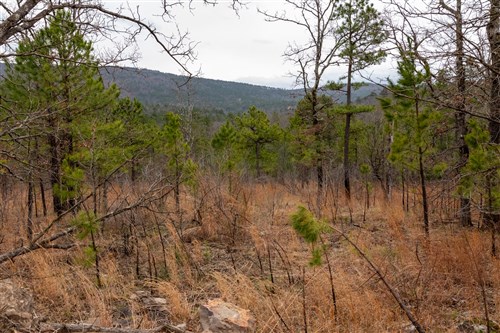 Stone Bridge Phase III Tract 200