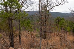 Stone Bridge Phase III Tract 200