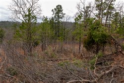 Stone Bridge Phase III Tract 200