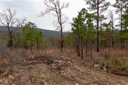 Stone Bridge Phase III Tract 200