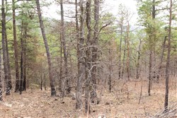 property photo for Stone Bridge Phase III Tract 203, 4.42 acres for sale in LatimerHaskell County, Oklahoma