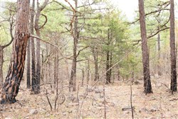 property photo for Stone Bridge Phase III Tract 203, 4.42 acres for sale in LatimerHaskell County, Oklahoma