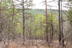 property photo for Stone Bridge Phase III Tract 203, 4.42 acres for sale in LatimerHaskell County, Oklahoma