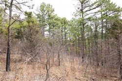 property photo for Stone Bridge Phase III Tract 203, 4.42 acres for sale in LatimerHaskell County, Oklahoma