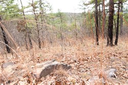 property photo for Stone Bridge Phase III Tract 203, 4.42 acres for sale in LatimerHaskell County, Oklahoma