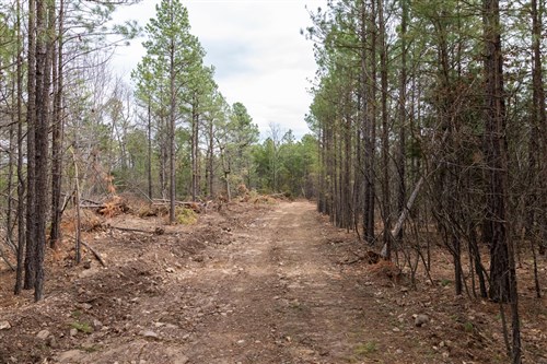 Stone Bridge Phase III Tract 205