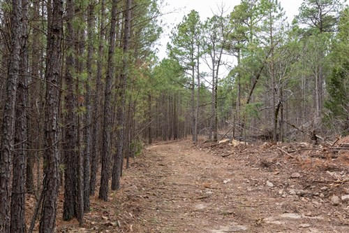 Stone Bridge Phase III Tract 205