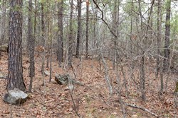 Stone Bridge Phase III Tract 205