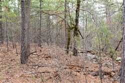 Stone Bridge Phase III Tract 205