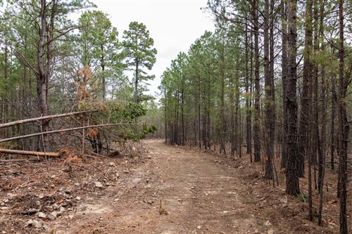Stone Bridge Phase III Tract 206
