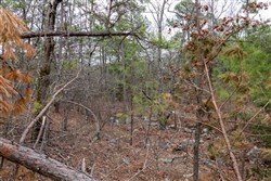 Stone Bridge Phase III Tract 206