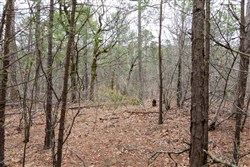 Stone Bridge Phase III Tract 206
