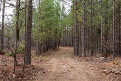 Stone Bridge Phase III Tract 206