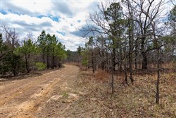 Stone Bridge Phase III Tract 212