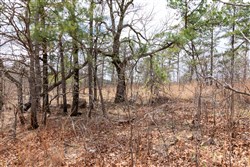 Stone Bridge Phase III Tract 212