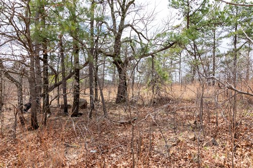 Stone Bridge Phase III Tract 212