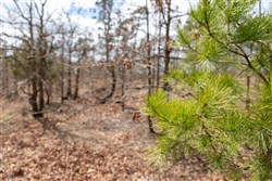 Stone Bridge Phase III Tract 212