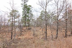 Stone Bridge Phase III Tract 212