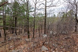 Stone Bridge Phase III Tract 212