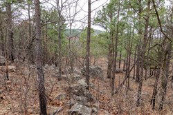 Stone Bridge Phase III Tract 212