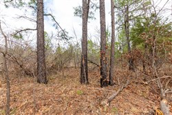 Stone Bridge Phase III Tract 214