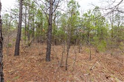 Stone Bridge Phase III Tract 214