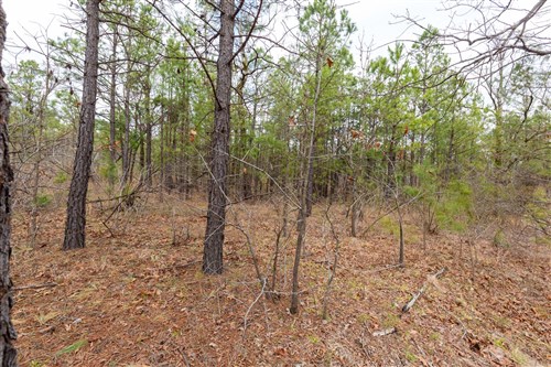 Stone Bridge Phase III Tract 214