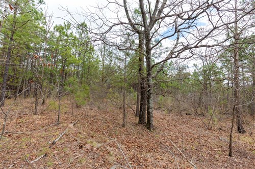 Stone Bridge Phase III Tract 214