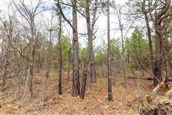 Stone Bridge Phase III Tract 214