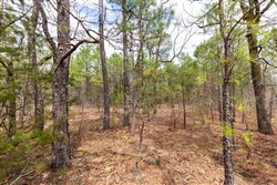 Stone Bridge Phase III Tract 214