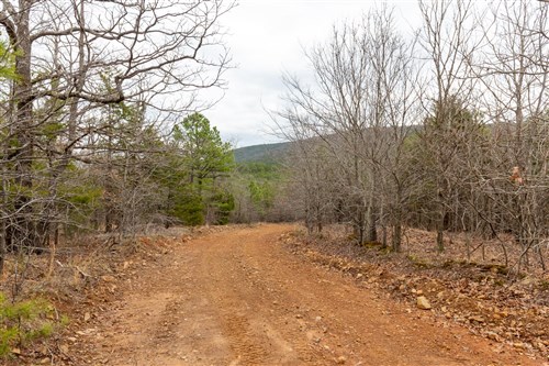 Stone Bridge Phase III Tract 219