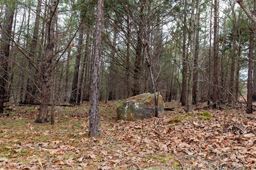 Stone Bridge Phase III Tract 219