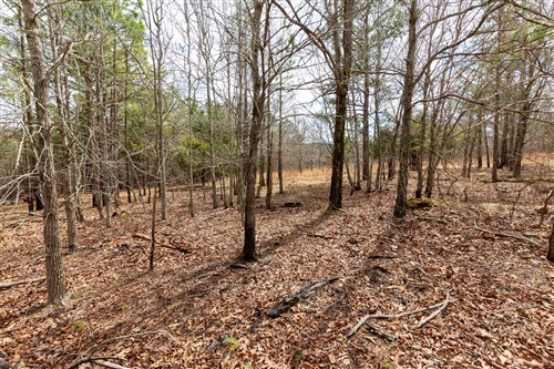 Stone Bridge Phase III Tract 219