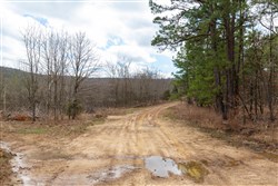 Stone Bridge Phase III Tract 219