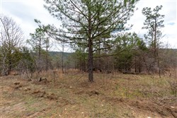 Stone Bridge Phase III Tract 219