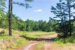 Stone Bridge Phase VI Tract 429