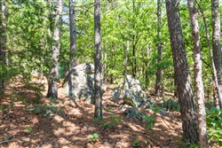 Stone Bridge Phase VI Tract 429