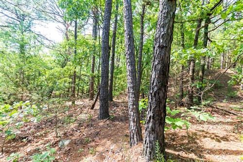 Stone Bridge Phase VI Tract 429