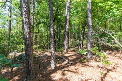 Stone Bridge Phase VI Tract 429