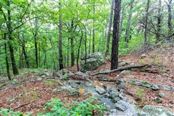 Stone Bridge Phase VI Tract 432