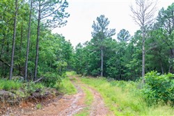 Stone Bridge Phase VI Tract 432